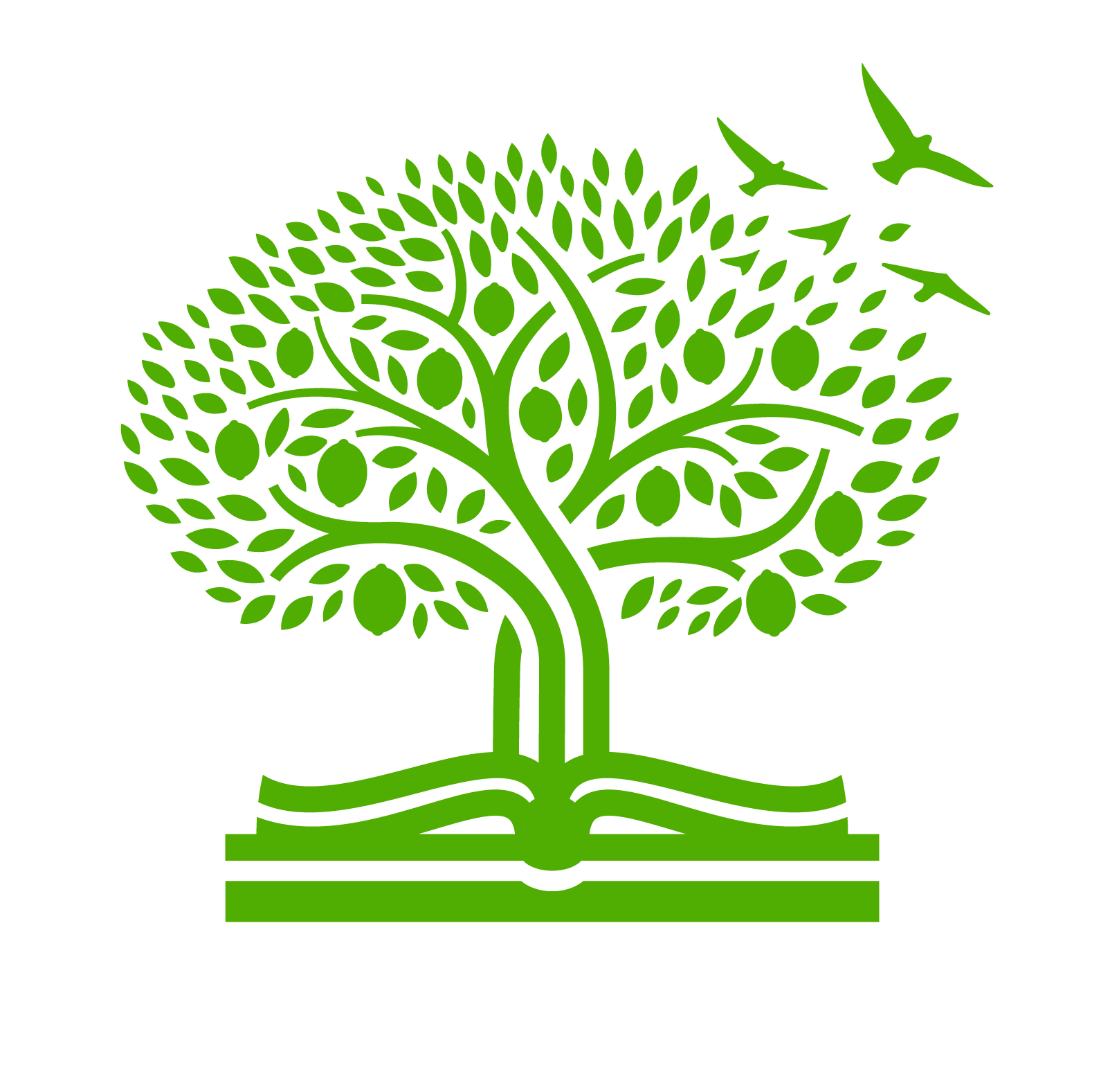 InfoLit KEYWORDS or Command Terms Used In Subject Context